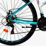 Bicicleta Aspen 2953L R29 21V Dis.alum.19 Shimano Negr-Amar